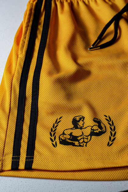 814　GOLDGYM30周年blueeq ATHLETE SHOP OLD SCHOOL GLORY CLOTHING | GOLDEN ERA GYM APPAREL FOR