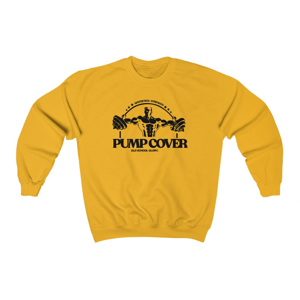 VINTAGE PUMP COVER