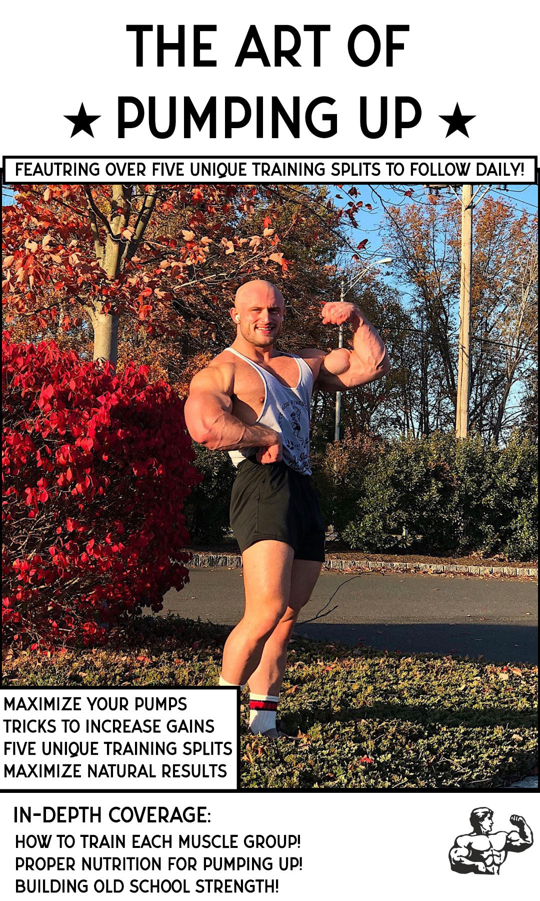 THE ART OF PUMPING UP