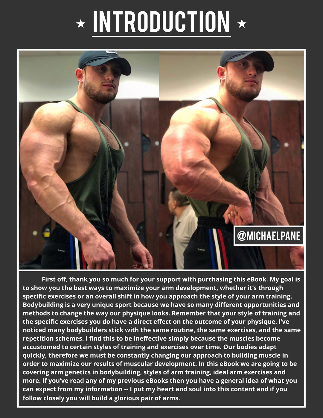 THE ARMS BIBLE