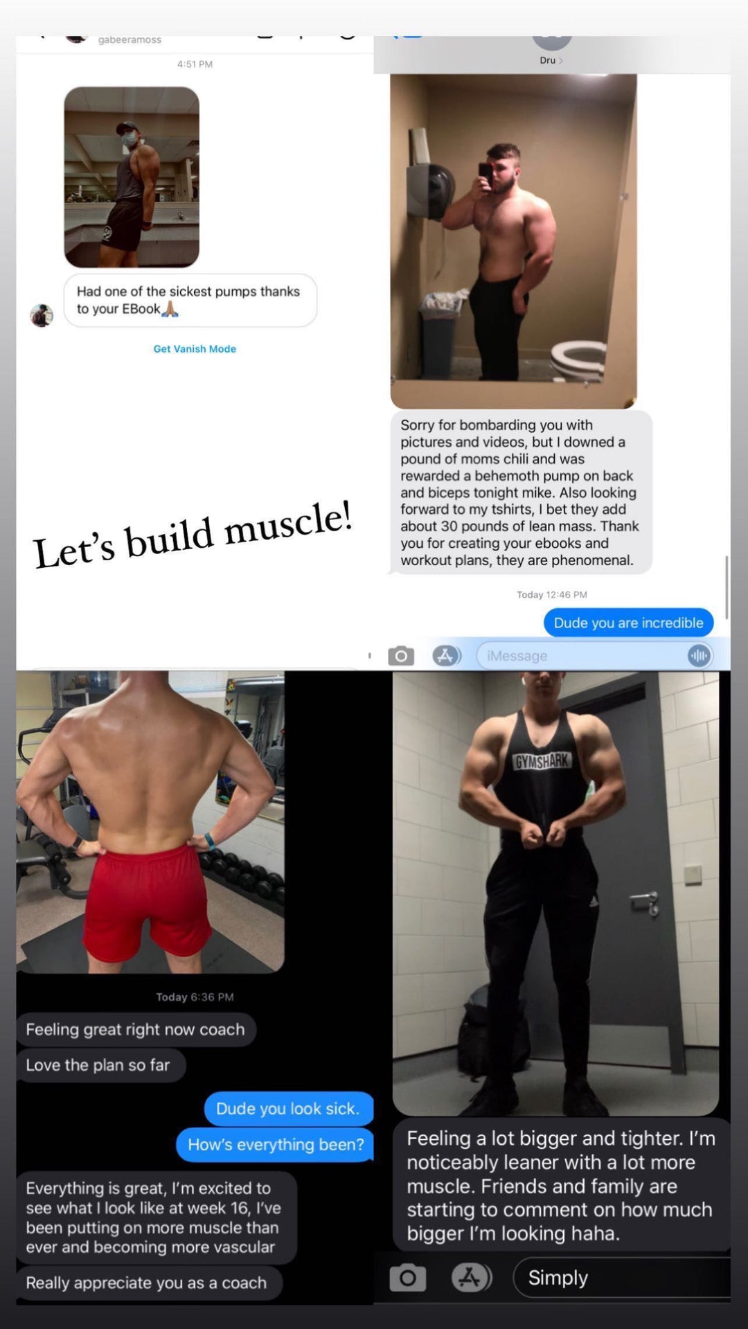 THE ARMS BIBLE