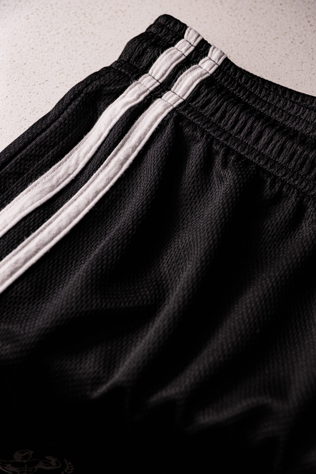 TITAN MESH SHORTS